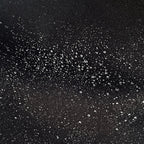 3LAYER WIND BREAKER JACKET #BLACK [HOD25AW3LWB]