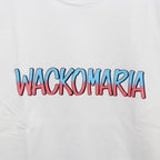 WASHED HEAVY WEIGHT CREW NECK T-SHIRT ( TYPE-9 ) #WHITE [26SS-WMT-WT10]