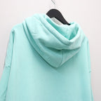 USED ARCH HOODIE #Mint [26FW_SW08]