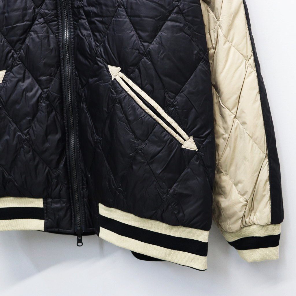 REVERSIBLE 「SKAJAN」 DOWN JACKET #BK×SILVER BGE [TAION-JK04JS]