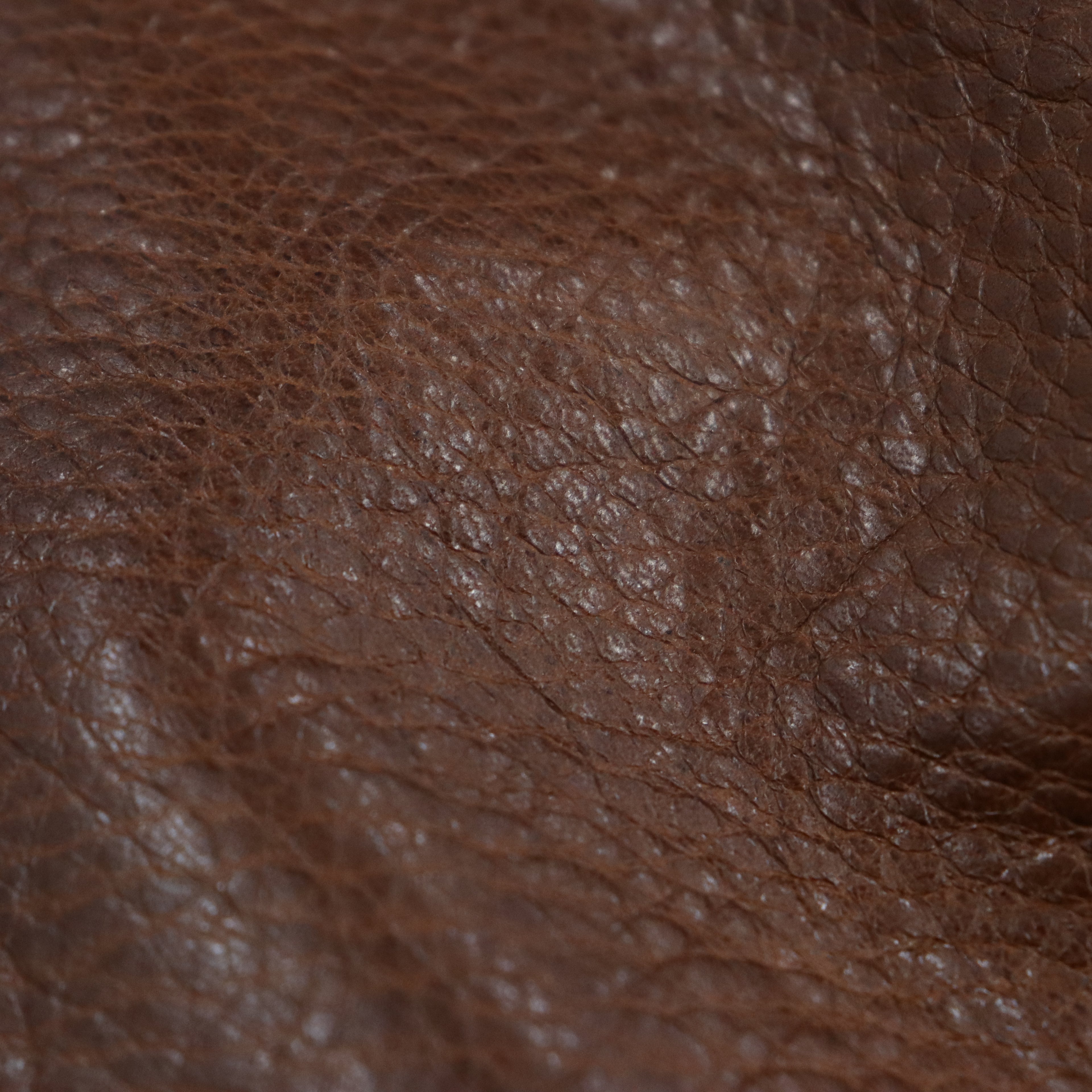 LEATHER JACKET #BROWN [23FW-WMO-BL01]