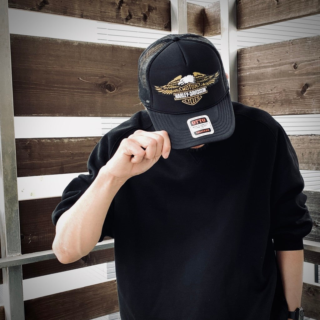 HARLEY DAVIDSON | SCREAMIN EAGLE CURVED BILL PATCH CAP #BLACK / BLACK [HD25SS-CAP-01]