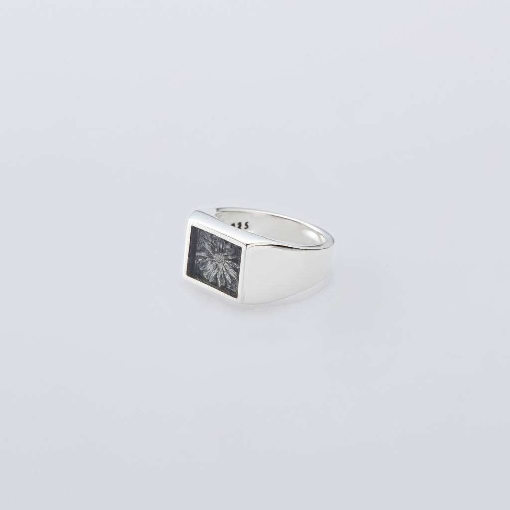 Signet Ring with Steel Gray Flower #SILVER [XOR117]