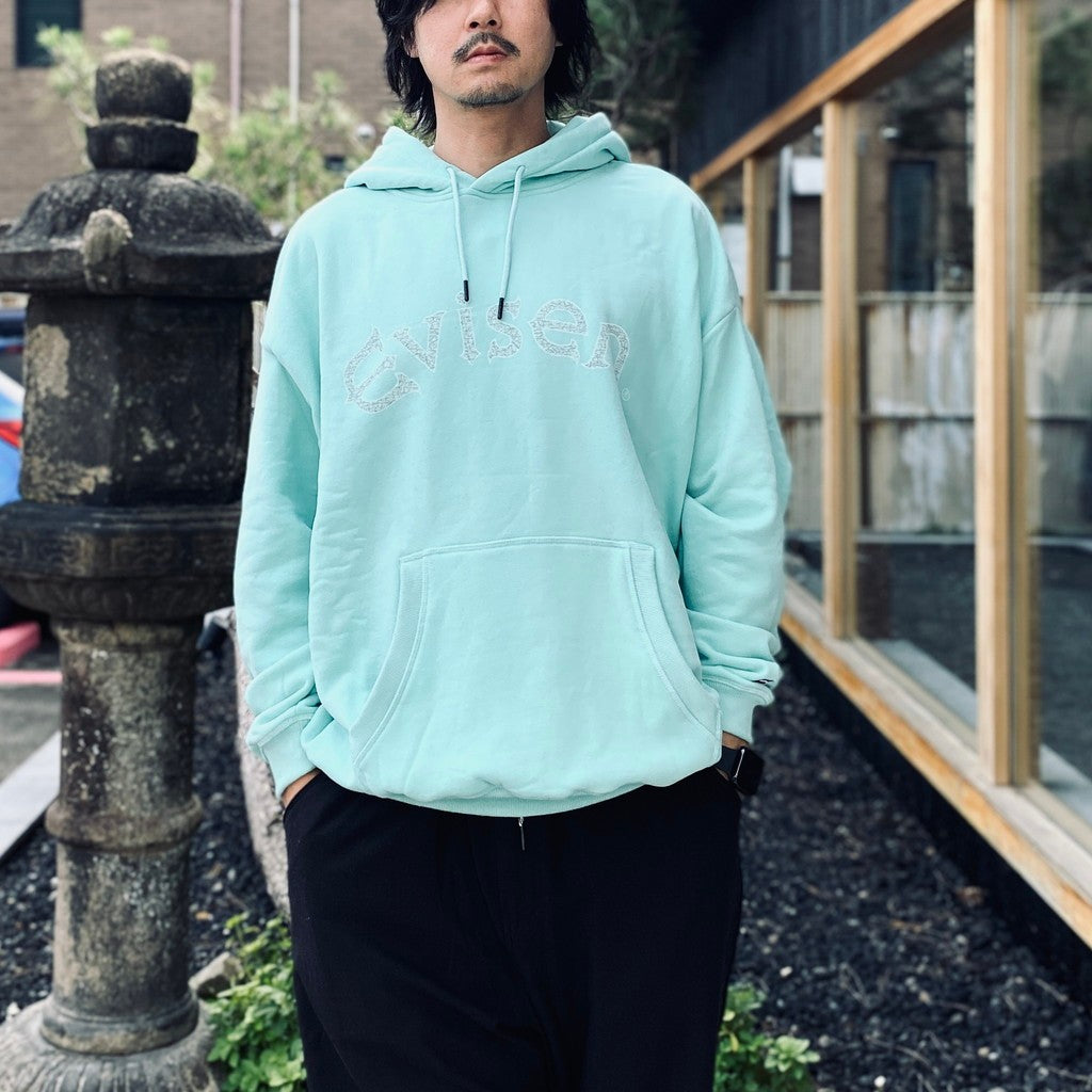 USED ARCH HOODIE #Mint [26FW_SW08]