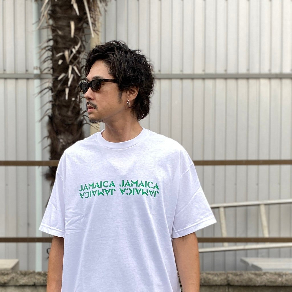 金子眼鏡 | GLASSES ( TYPE-2 ) #BROWN [KANEKO-WM-EW04]