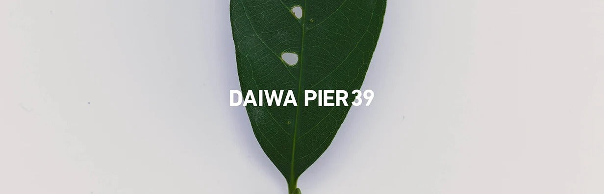 DAIWA PIER39_26FW