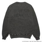 DEATH ROW RECORDS | WASHED MIDDLE WEIGHT CREW NECK SWEAT SHIRT #GRAY [DEATHROW-WM-SS03]