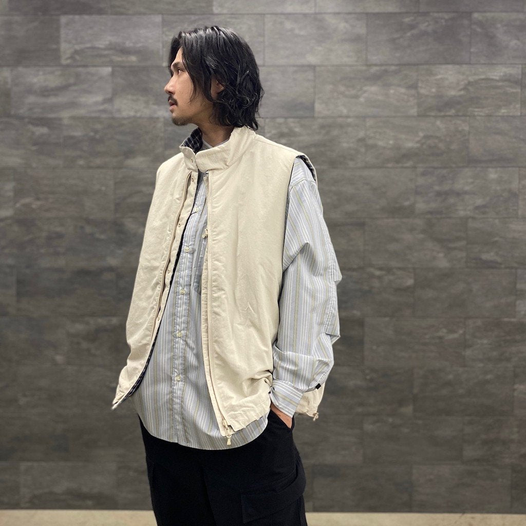 DAIWA PIER39 | ダイワピア39 TECH BAND COLLAR SHIRTS L/S STRIPE