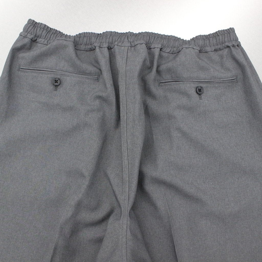 TECH WIDE EASY 2P TROUSERS #GRAY [BP-31023] _ DAIWA PIER39