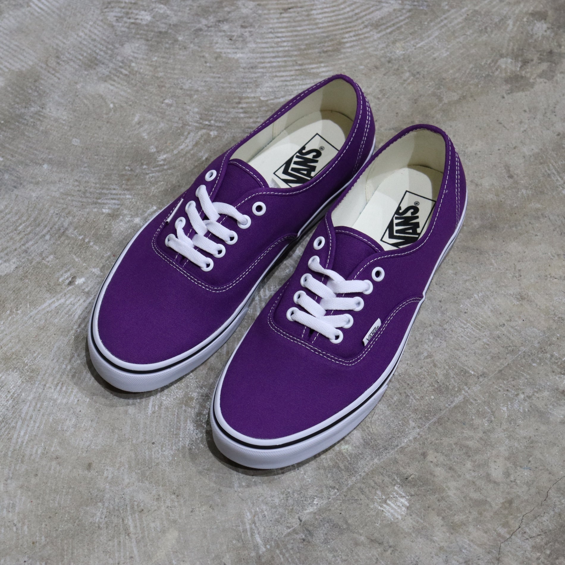 AUTHENTIC #COLOR THEORY PURPLE MAGIC [VN000BW51N8]